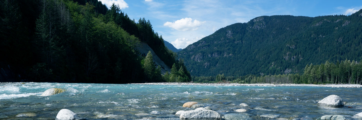 River Nature Beautiful