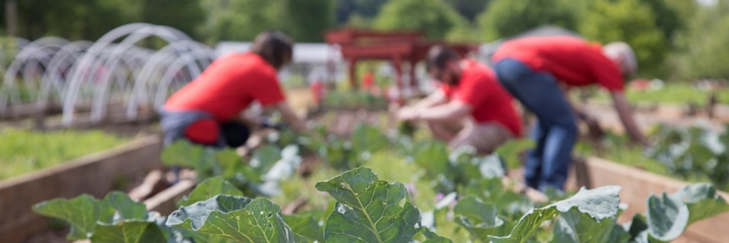 Coca-Cola employees joined forces with Hands On Atlanta and Truly Living Well