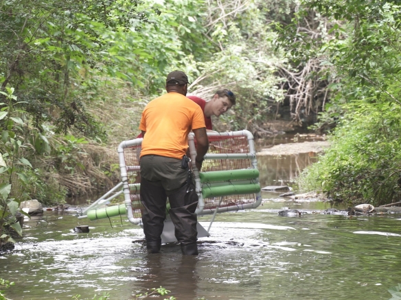 A $50,000 grant from the Coca-Cola Foundation will provide green jobs at Groundwork Atlanta