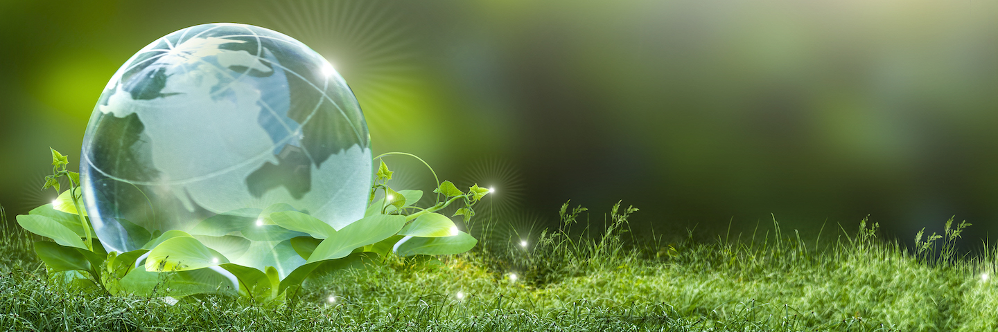 1194898132 Renewable energy concept Earth Day or environment protection Hands protect forests that grow on the ground and help save the world.