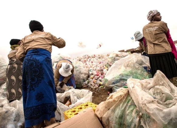 people cleaning