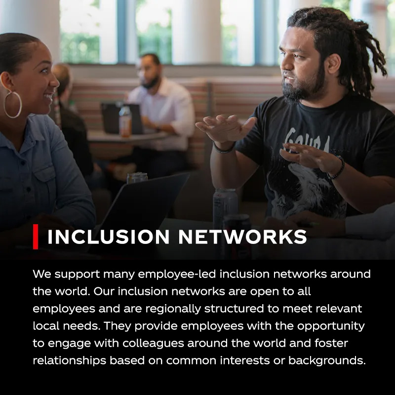 inclusion networks