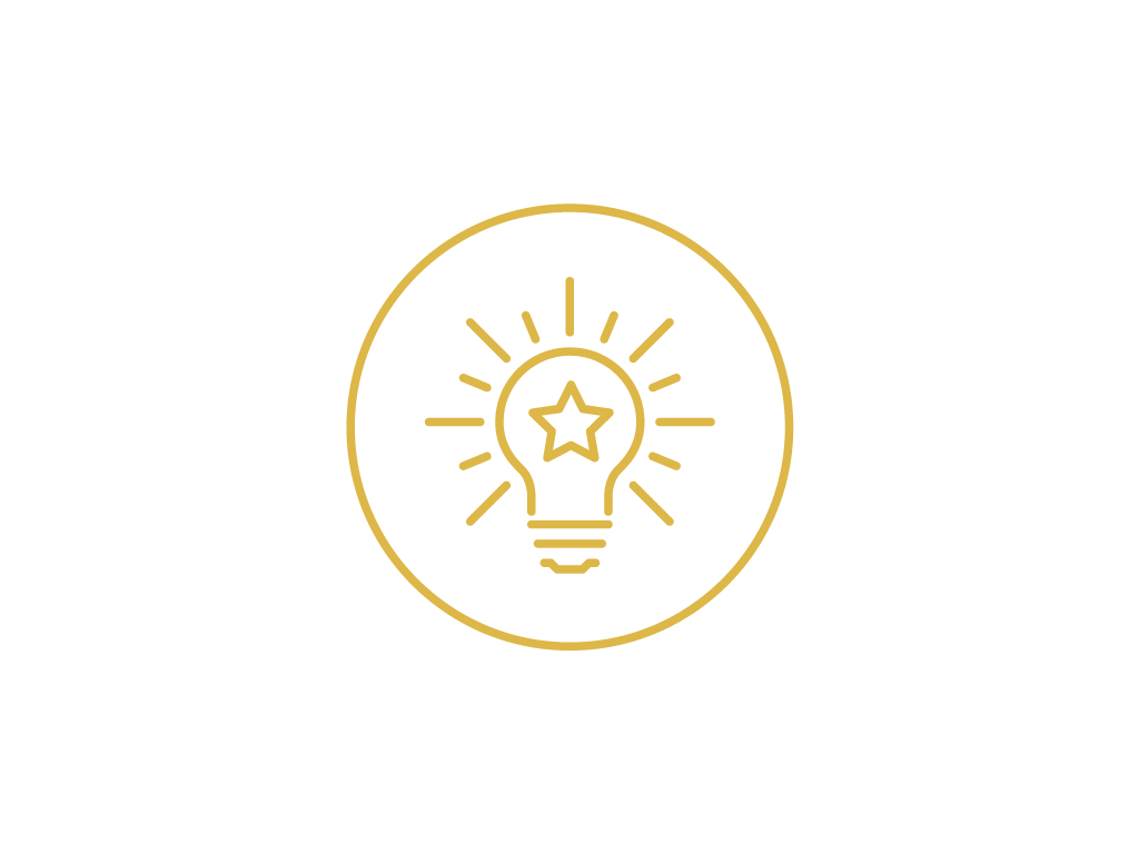 lightbulb icon