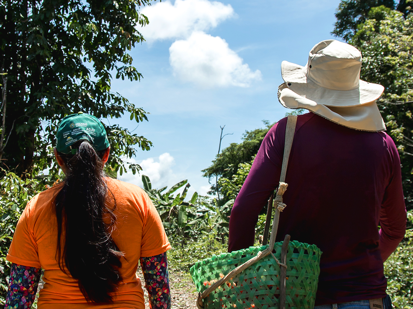 Two people walking in an orchard with a basket of fruit