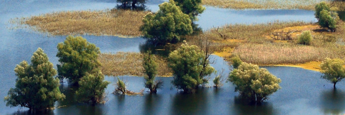 Kopacki rit Croatia