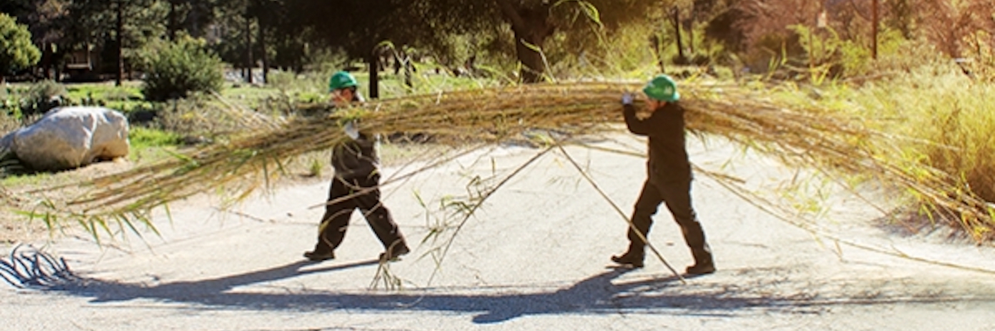 Two volunteers clearing brush from a forest The 10 restoration areas are located on national forest land, which provides drinking water to more than 60 million Americans.