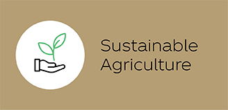 Sustainable Agriculture icon for The Coca-Cola Company's 2021 Business, Environmental, Social & Governance Report