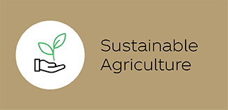 Sustainable Agriculture icon for The Coca-Cola Company's 2021 Business, Environmental, Social & Governance Report Sustainable Agriculture