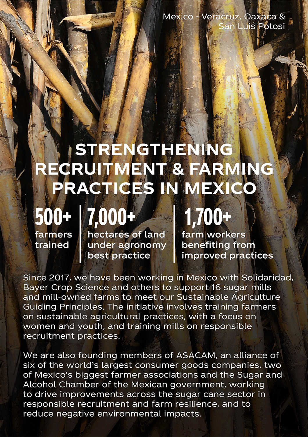 Farming Practices in Mexico