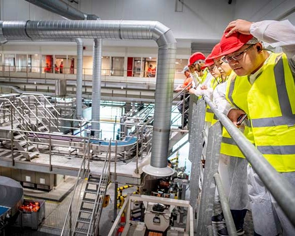 Plant workers look out over the bottling line