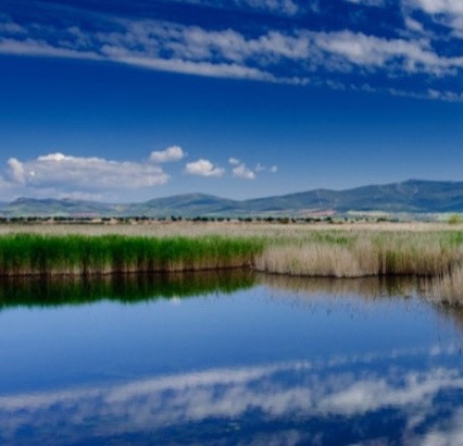 Water Stewardship