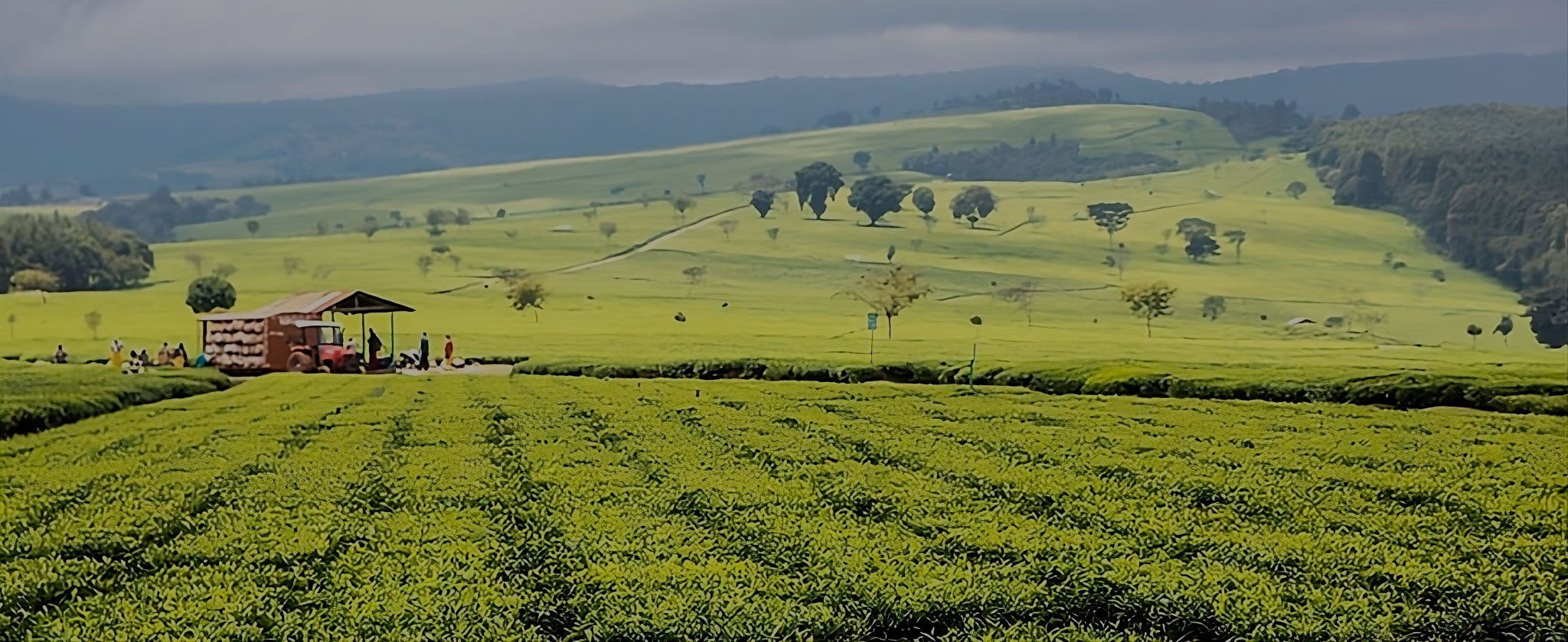 EA Ranked 31 Among Top 100 Environmental and Sustainability Consultancy Firms - EA