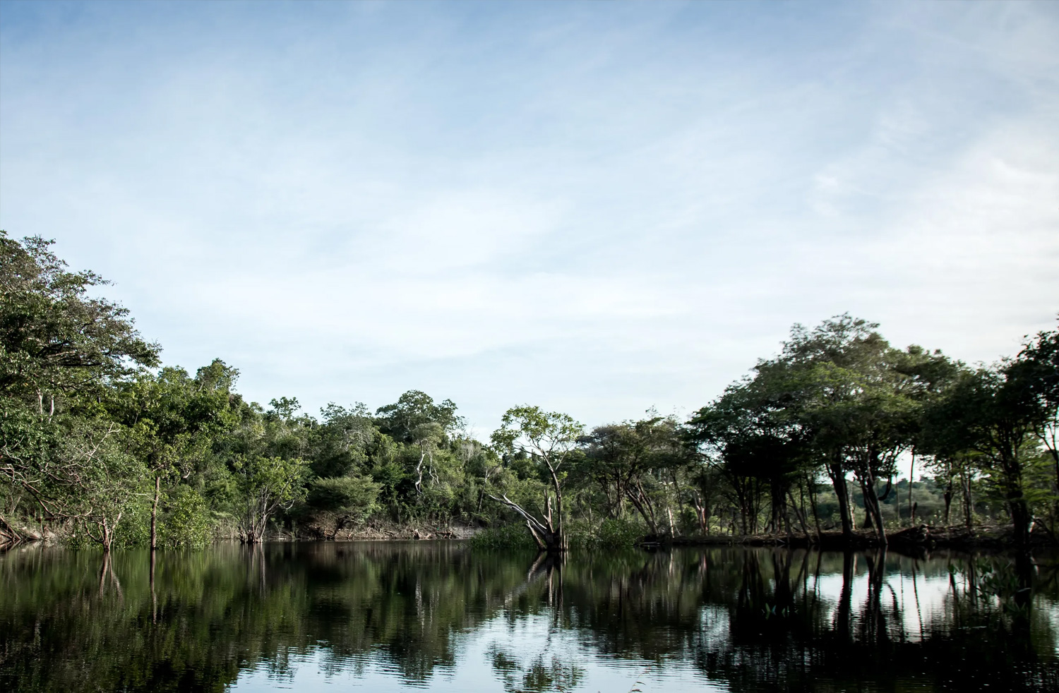 Watershed conservation