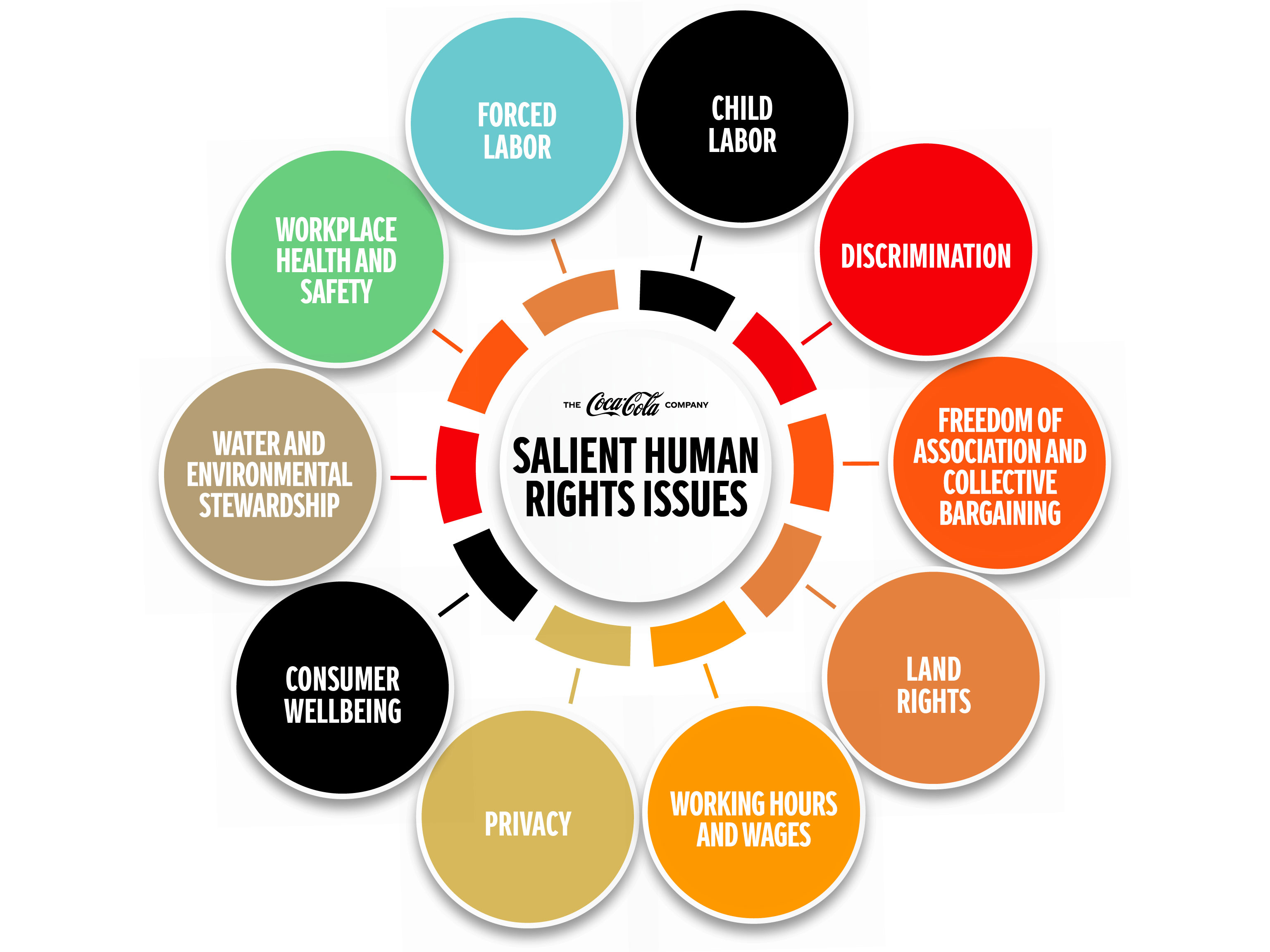 Salient Human Rights Issues