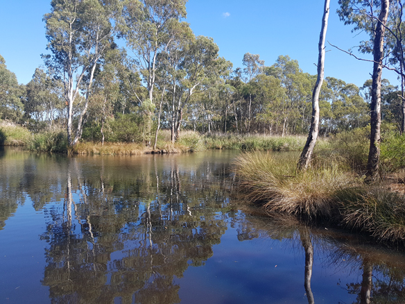 Coca-Cola Australia Foundation and Landcare Australia announce new partnership to transform farm dams and boost farming water security across Australia