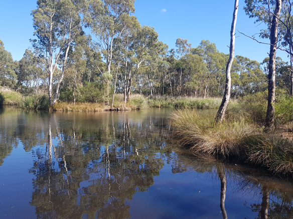 Coca-Cola Australia Foundation and Landcare Australia announce new partnership to transform farm dams and boost farming water security across Australia Coca-Cola Australia Foundation and Landcare Australia announce new partnership to transform farm dams and boost farming water security across Australia
