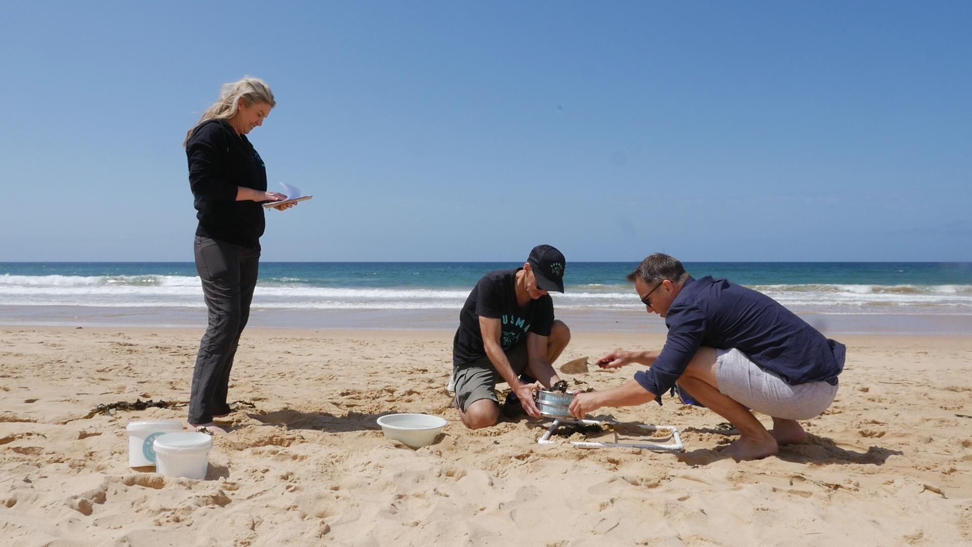 Kylie, Scott and Adam collected data while they filmed at Dee Why Beach in Sydney, NSW.