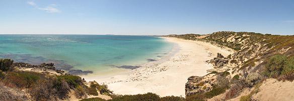 Coastcare and Landcare are Coca-Cola environment partners caring for the marine environment Coastcare and Landcare are Coca-Cola environment partners caring for the marine environment