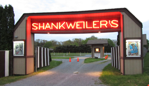 Shankweiler's Drive-In Theatre entrance